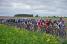 The peloton (5) (612x)