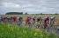 The peloton (7) (497x)