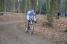 Jrmy Roy (FDJ) in the woods (490x)