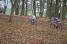 Christophe Delamarre chasing behind Jrmy Roy (491x)