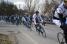 The peloton (2) (485x)