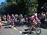 The first group of 8 cyclists (381x)