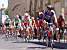 The large group of cyclists (366x)