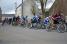 The peloton (3) (456x)