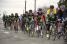 The complete GreenEDGE team (803x)
