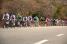 Alejandro Valverde (Movistar Team) in the third group (678x)