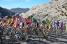 The yellow and polka dot jersey on the Col des Lques (449x)
