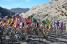 The yellow and polka dot jersey on the Col des Lèques (233x)