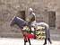 Carcassonne: one of the horseriders of the show (686x)
