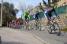 Alejandro Valverde (Movistar Team) (485x)