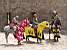 Carcassonne: horseriders (625x)