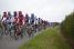 The peloton (2nd lap) (497x)