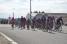 Lotto-Belisol in the peloton (660x)