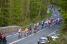 A big breakaway (675x)