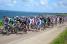 The peloton with Pierrick Fédrigo (FDJ-BigMat) along the coastline (631x)