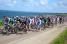 The peloton with Pierrick Fédrigo (FDJ-BigMat) along the coastline (668x)