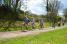 The leading group in the second ribin (2) (495x)