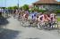 The peloton in the streets of Domarin (192x)