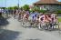 The peloton in the streets of Domarin (317x)