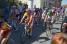 Romain Hardy (Bretagne-Schuller) in the peloton (388x)