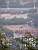 Lyon seen from the top of the hill of Fourvière (182x)