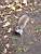 Een tamme (!) eekhoorns in een park in Boston schooiend om eten (126x)