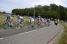 The leading group (455x)