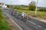The leading group (5) (834x)
