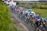 The peloton taken over by some cars (656x)