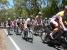 Davide Appollonio (AG2R La Mondiale) in the peloton (593x)