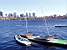 Little boats in front of Boston by day (225x)