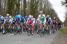 The peloton in the forest around Crilly (593x)