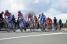 The peloton led by Rusvelo (606x)