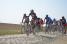 The peloton on the cobbles between Verchain and Quérenaing (598x)