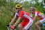 Cyril Bessy (Cofidis) (439x)