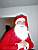 Vincent Santa Claus (195x)