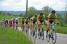 The peloton led by Sava (315x)