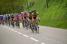 The peloton led by Sava & Charvieu-Chavagneux (323x)