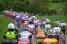 The multi-colour peloton (317x)