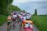 The multi-colour peloton (2) (313x)