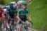 Thomas Voeckler (Europcar) leading the peloton (417x)