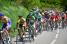 Alexis Vuillermoz (Sojasun) on the Col de Pavezin (378x)
