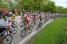 The peloton on the Col de la Croix de Toutes Aures (2) (415x)