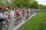 Le peloton sur le Col de la Croix de Toutes Aures (2) (208x)