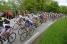 The peloton on the Col de la Croix de Toutes Aures (4) (491x)