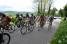 The peloton on the Cte d'Arzay (4) (418x)