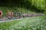 The yellow jersey peloton on the first climb of the Côte de l'Etang de Ry (160x)