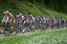 Le peloton sur la première montée de la Côte de l'Etang de Ry (4) (233x)