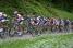 The peloton on the first climb of the Côte de l'Etang de Ry (5) (253x)