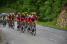 The Cofidis team leading the peloton (346x)